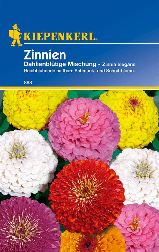 Dahlienblütige Zinnie - Kiepenkerl - Pflanzen > Saatgut > Blumensamen - DerGartenmarkt.de shop.dergartenmarkt.de