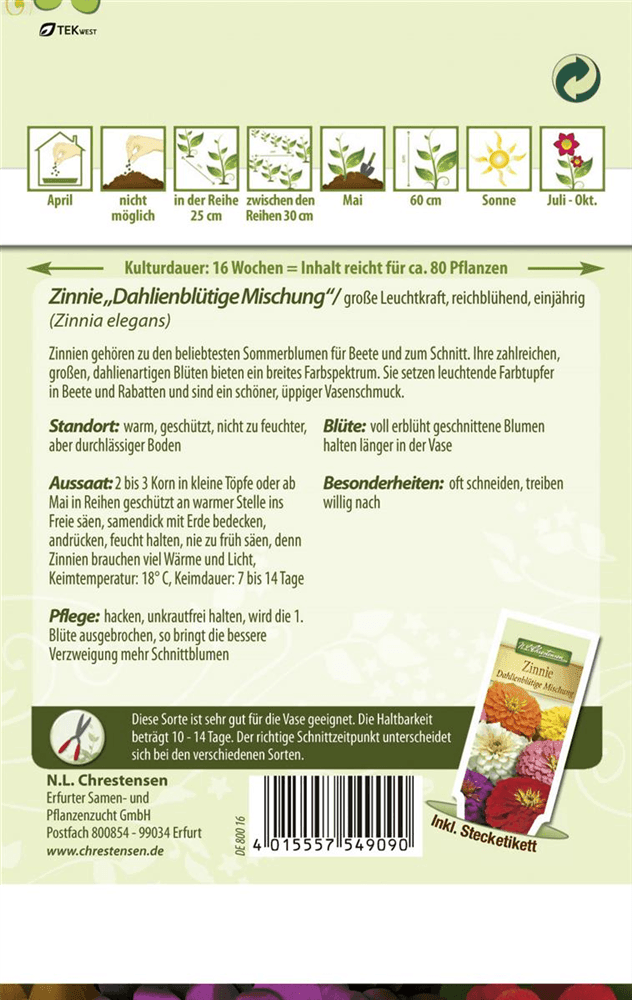 Dahlienblütige Zinnie-Samen - Chrestensen - Pflanzen > Saatgut > Blumensamen > Blumensamen, einjährig - DerGartenmarkt.de shop.dergartenmarkt.de