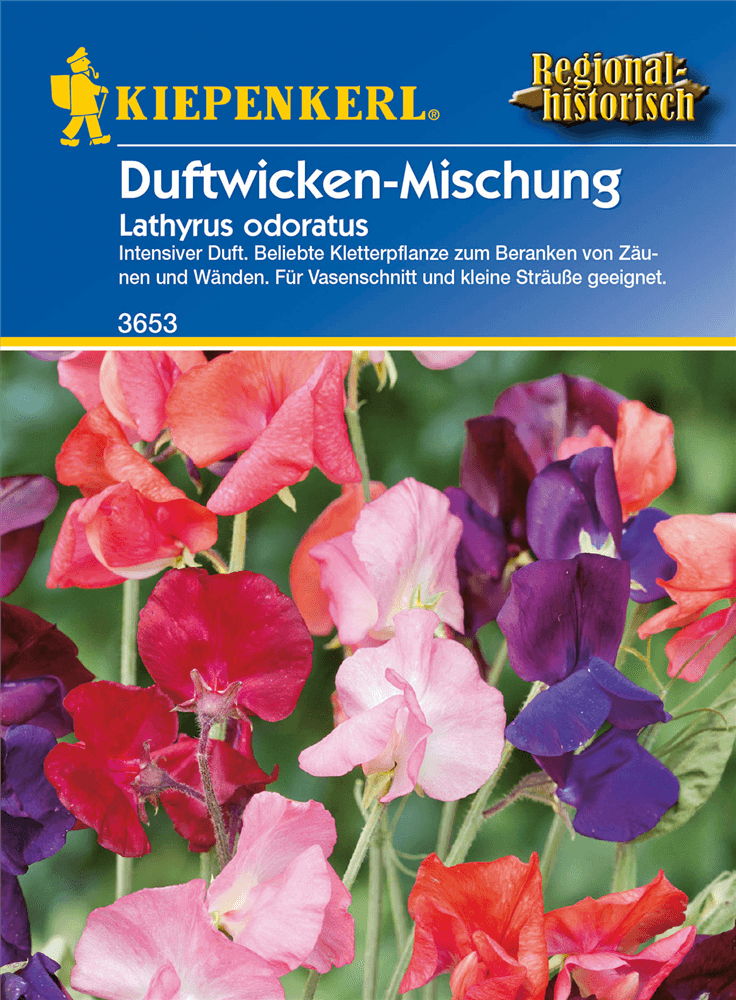 Duftwicke - Kiepenkerl - Pflanzen > Saatgut > Blumensamen - DerGartenmarkt.de shop.dergartenmarkt.de