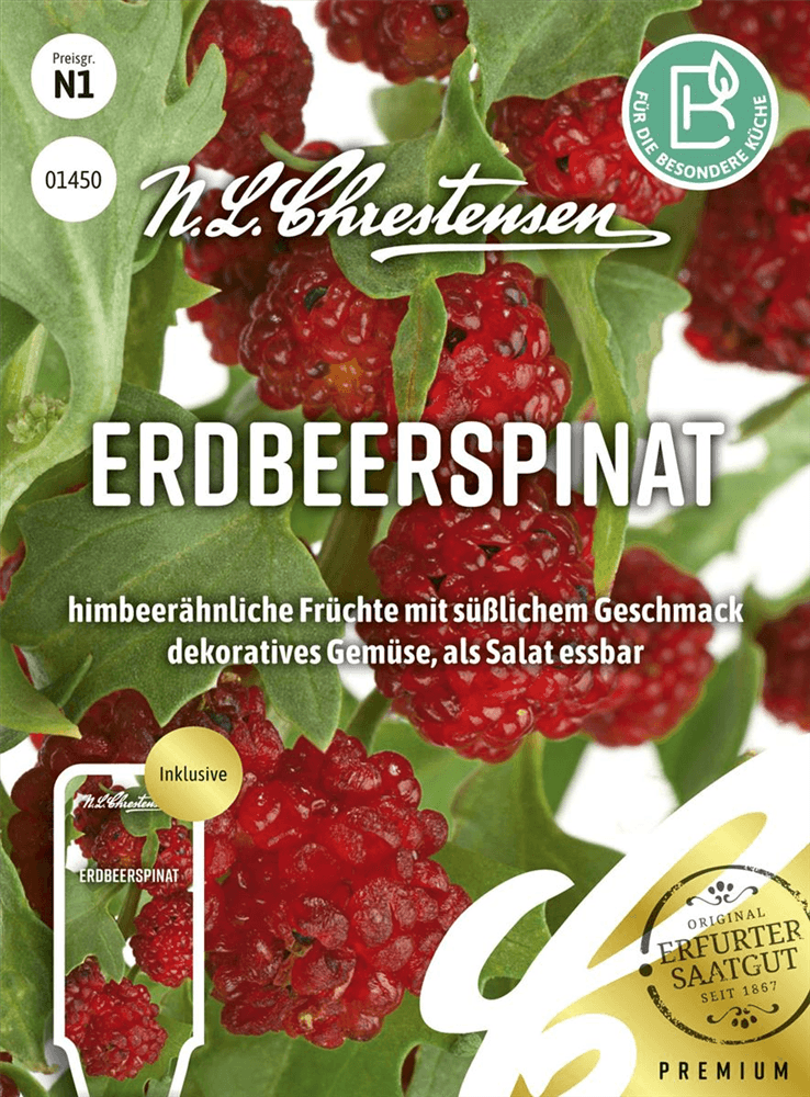 Echter Erdbeerspinat-Samen - Chrestensen - Pflanzen > Saatgut > Gemüsesamen - DerGartenmarkt.de shop.dergartenmarkt.de