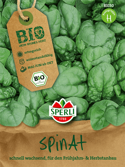 Echter Spinat - Sperli - Pflanzen > Saatgut > Gemüsesamen > Spinatsamen - DerGartenmarkt.de shop.dergartenmarkt.de