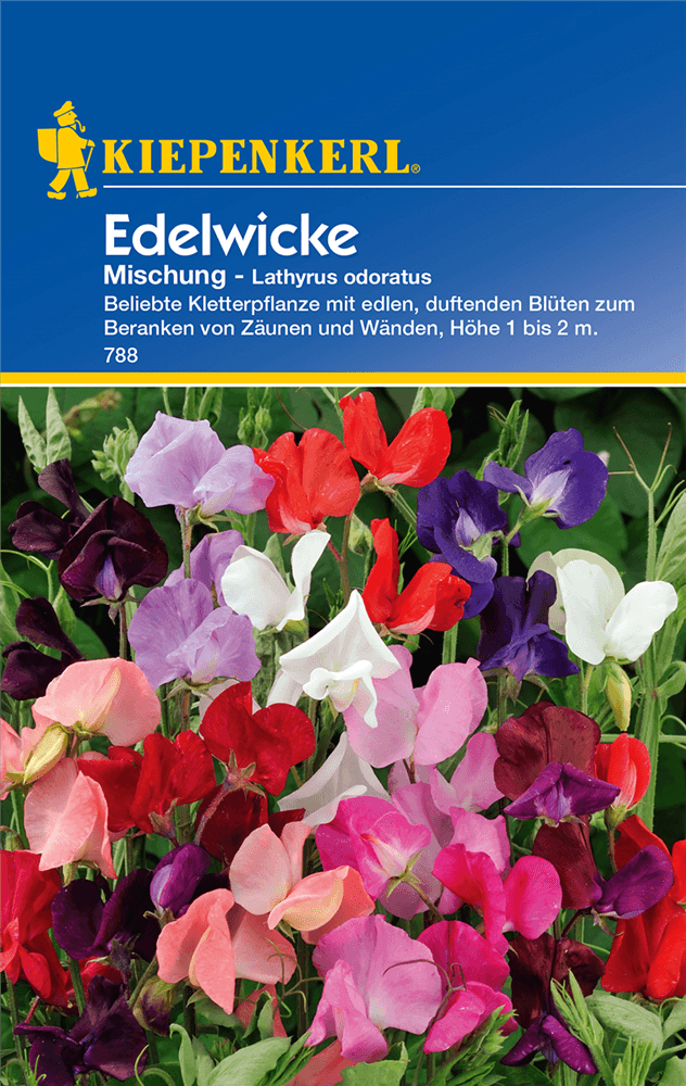 Edelwicke 'Mischung' - Kiepenkerl - Pflanzen > Saatgut > Blumensamen - DerGartenmarkt.de shop.dergartenmarkt.de