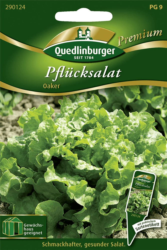 Eichblattsalatsamen 'Oaker' - Quedlinburger Saatgut - Pflanzen > Saatgut > Gemüsesamen > Salatsamen - DerGartenmarkt.de shop.dergartenmarkt.de