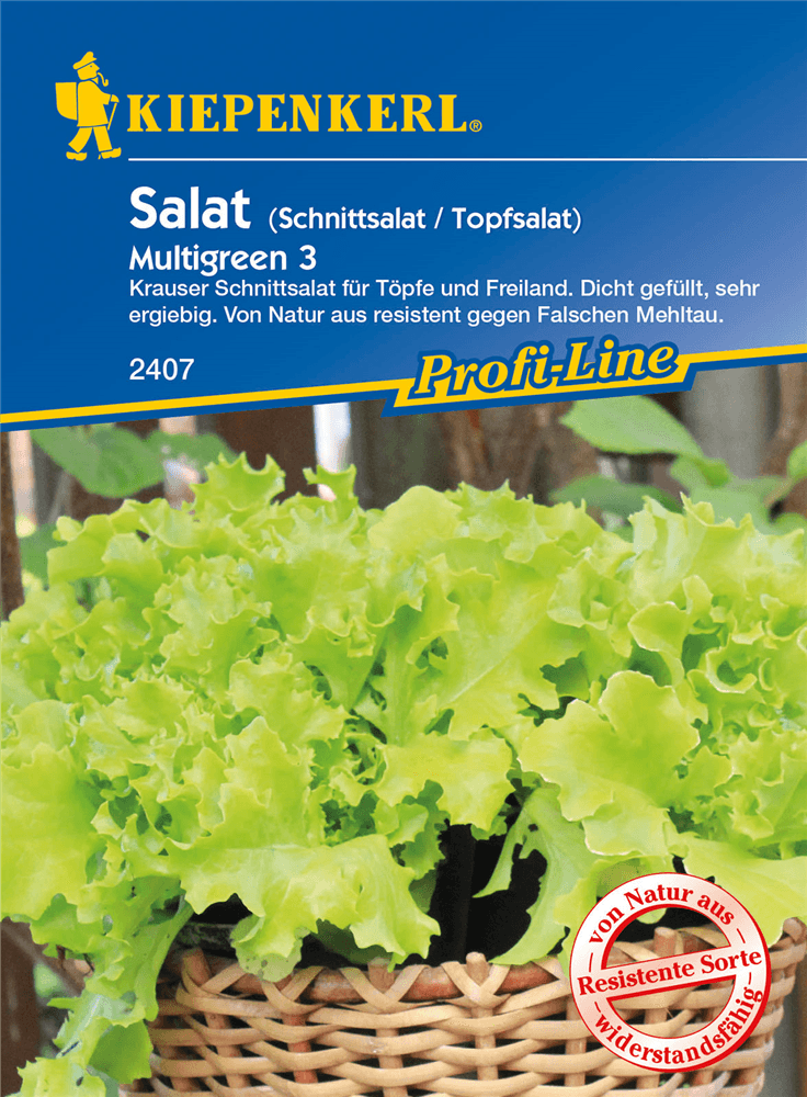 Eisbergsalat 'Multigreen 3' - Kiepenkerl - Pflanzen > Saatgut > Gemüsesamen > Salatsamen - DerGartenmarkt.de shop.dergartenmarkt.de