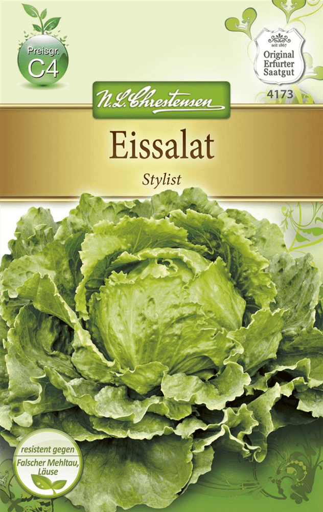 Eisbergsalatsamen 'Stylist' - Chrestensen - Pflanzen > Saatgut > Gemüsesamen > Salatsamen - DerGartenmarkt.de shop.dergartenmarkt.de