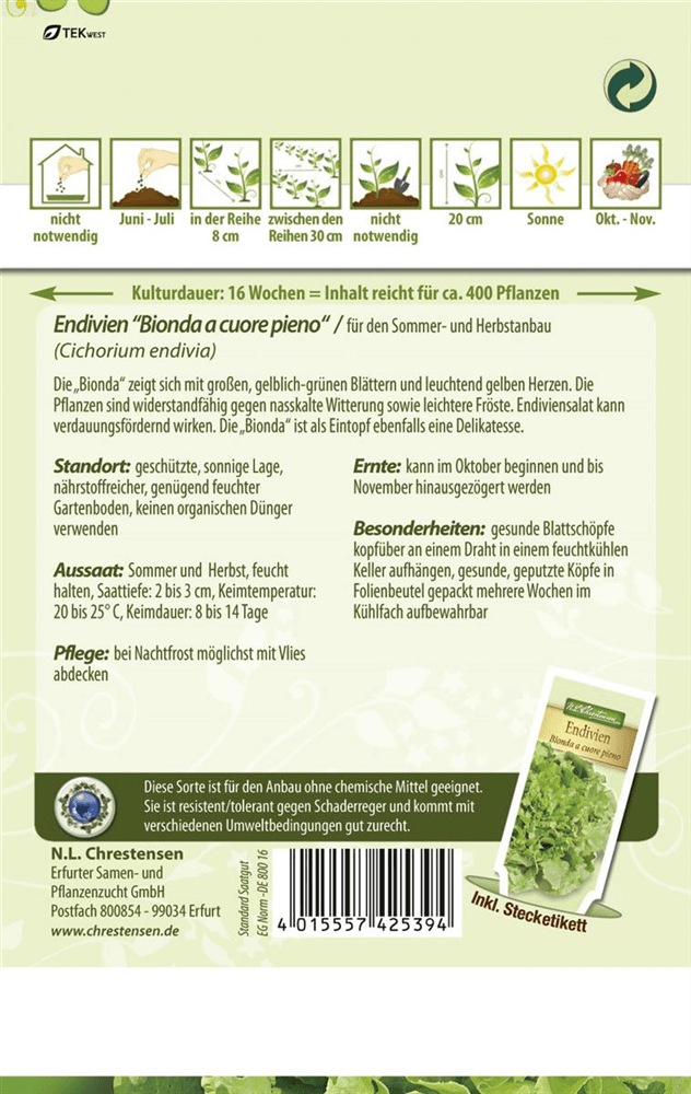 Endiviensamen 'Bionda a cuore pieno' - Chrestensen - Pflanzen > Saatgut > Gemüsesamen > Salatsamen - DerGartenmarkt.de shop.dergartenmarkt.de