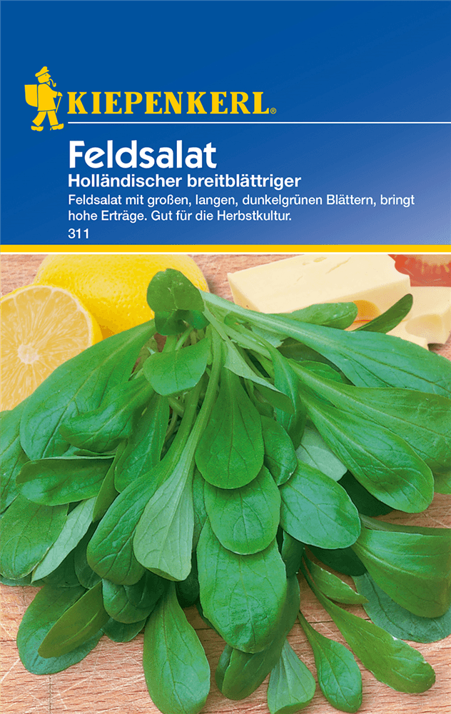 Feldsalat 'Holländischer Breitblättriger' - Kiepenkerl - Pflanzen > Saatgut > Gemüsesamen > Salatsamen - DerGartenmarkt.de shop.dergartenmarkt.de