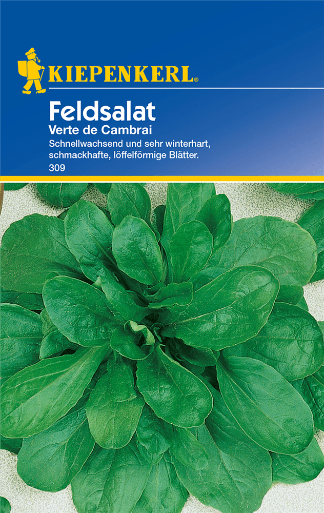 Feldsalat 'Verte de Cambrai' - Kiepenkerl - Pflanzen > Saatgut > Gemüsesamen > Salatsamen - DerGartenmarkt.de shop.dergartenmarkt.de