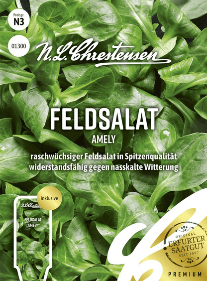 Feldsalatsamen 'Amely' - Chrestensen - Pflanzen > Saatgut > Gemüsesamen > Salatsamen - DerGartenmarkt.de shop.dergartenmarkt.de