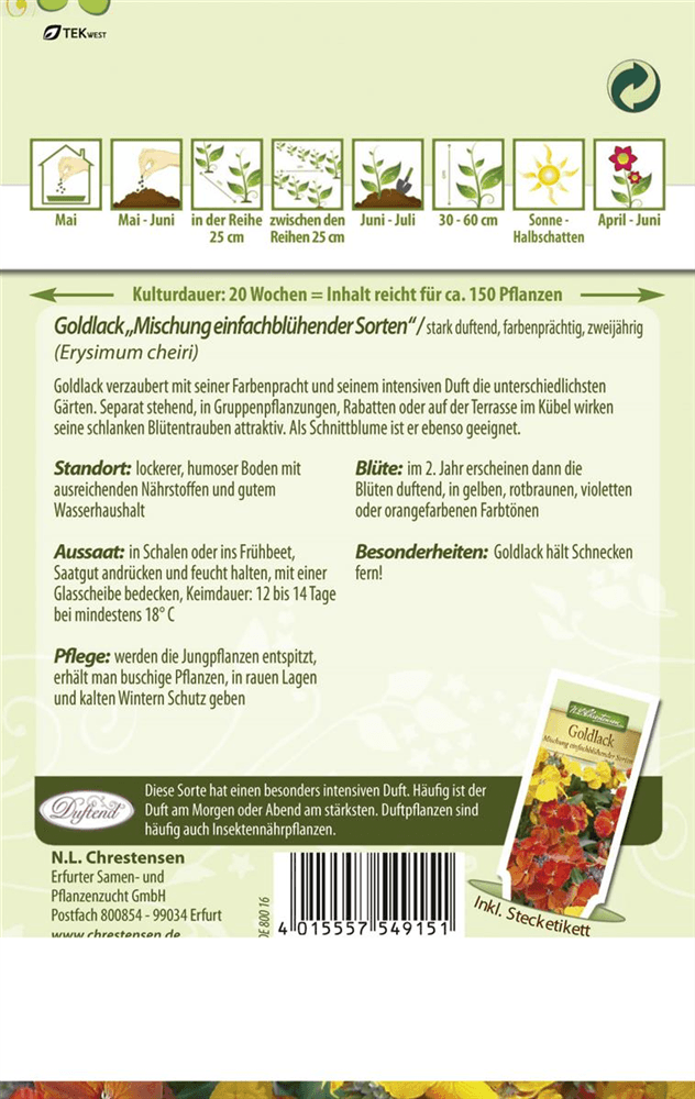 Goldlacksamen - Chrestensen - Pflanzen > Saatgut > Blumensamen > Blumensamen, mehrjährig - DerGartenmarkt.de shop.dergartenmarkt.de