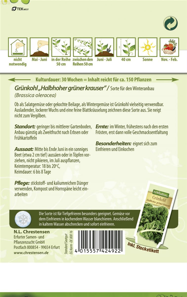 Grünkohlsamen 'Halbhoher Grüner Krauser' - Chrestensen - Pflanzen > Saatgut > Gemüsesamen > Kohlsamen - DerGartenmarkt.de shop.dergartenmarkt.de