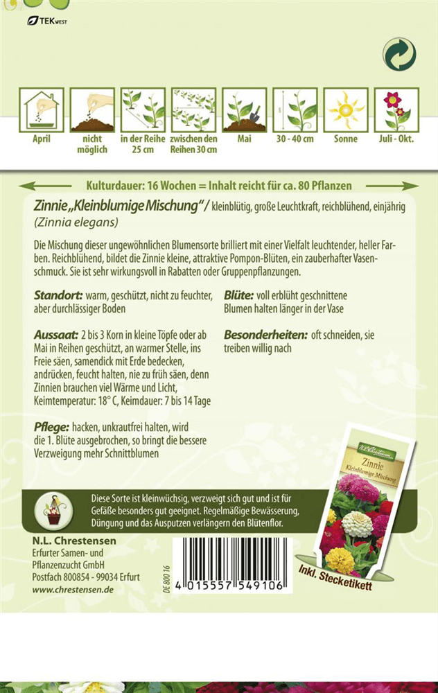 Kleinblütige Zinnie-Samen - Chrestensen - Pflanzen > Saatgut > Blumensamen > Blumensamen, einjährig - DerGartenmarkt.de shop.dergartenmarkt.de