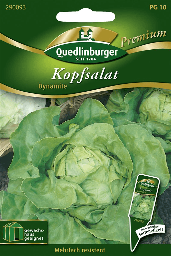 Kopfsalat 'Dynamite' - Quedlinburger Saatgut - Pflanzen > Saatgut > Gemüsesamen > Salatsamen - DerGartenmarkt.de shop.dergartenmarkt.de