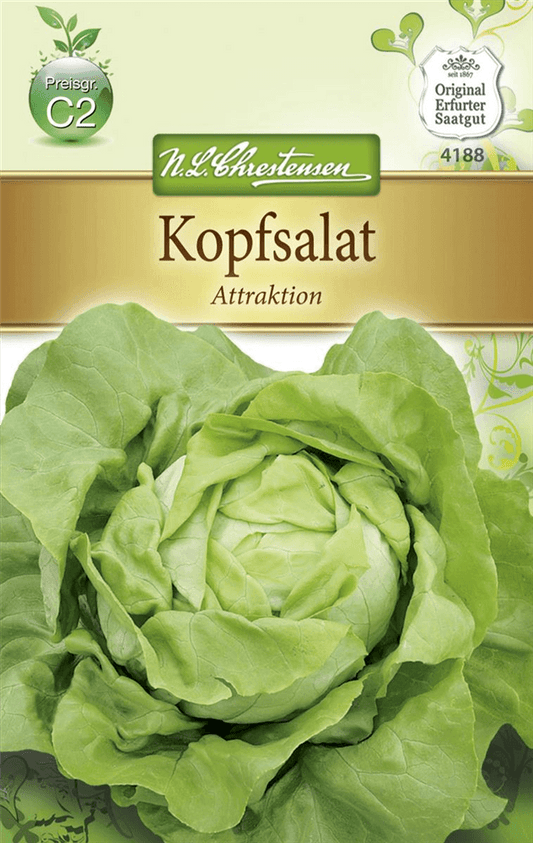 Kopfsalatsamen 'Attraktion' - Chrestensen - Pflanzen > Saatgut > Gemüsesamen > Salatsamen - DerGartenmarkt.de shop.dergartenmarkt.de