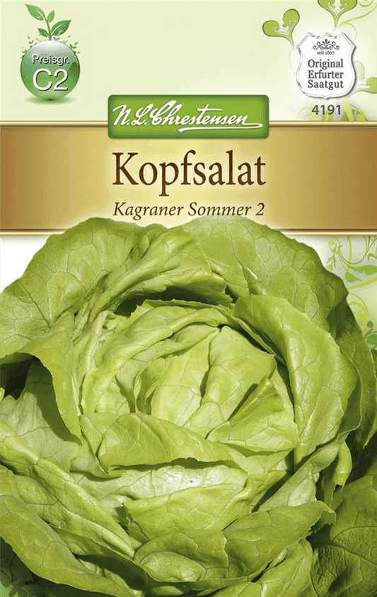 Kopfsalatsamen 'Kagraner Sommer 2' - Chrestensen - Pflanzen > Saatgut > Gemüsesamen > Salatsamen - DerGartenmarkt.de shop.dergartenmarkt.de