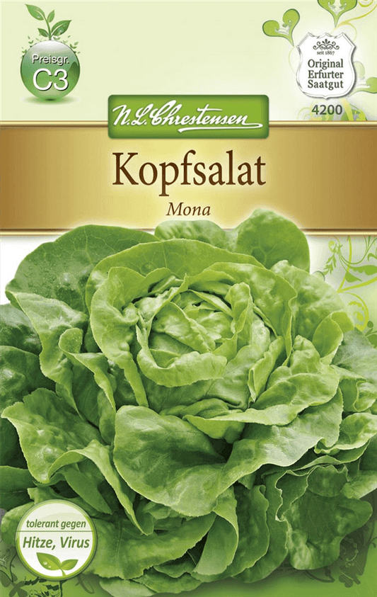 Kopfsalatsamen 'Mona' - Chrestensen - Pflanzen > Saatgut > Gemüsesamen > Salatsamen - DerGartenmarkt.de shop.dergartenmarkt.de