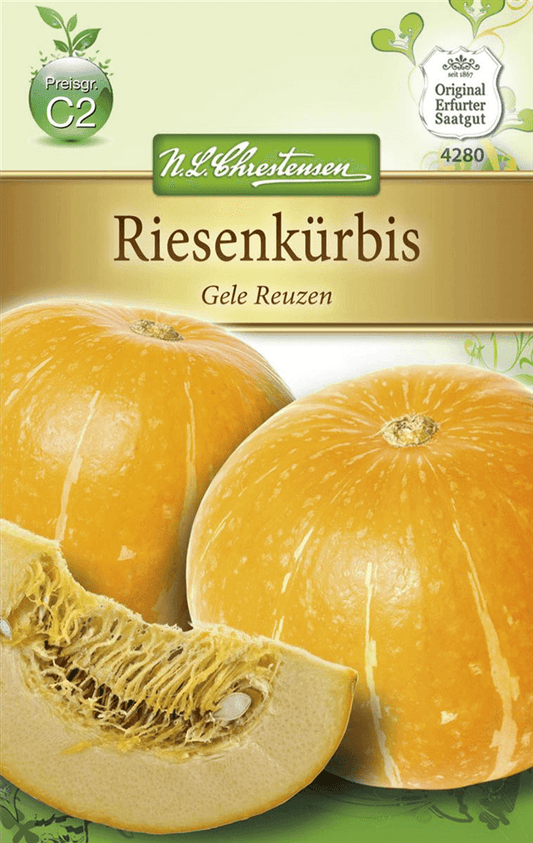 Kürbissamen 'Gelber Zentner' - Chrestensen - Pflanzen > Saatgut > Gemüsesamen > Kürbissamen - DerGartenmarkt.de shop.dergartenmarkt.de