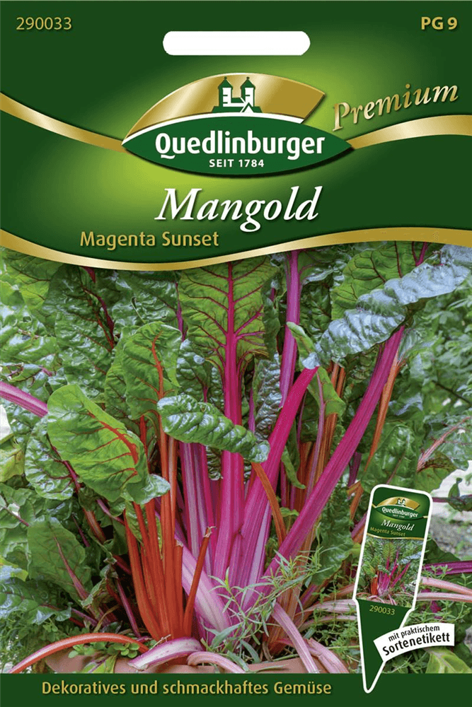 Mangoldsamen 'Magenta Sunset' - Quedlinburger Saatgut - Pflanzen > Saatgut > Gemüsesamen > Mangoldsamen - DerGartenmarkt.de shop.dergartenmarkt.de