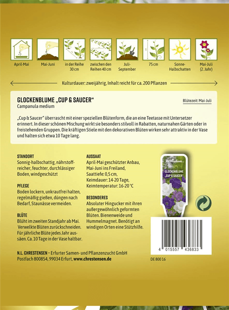 Marien-Glockenblume-Samen 'Cup & Saucer' - Chrestensen - Pflanzen > Saatgut > Blumensamen > Blumensamen, mehrjährig - DerGartenmarkt.de shop.dergartenmarkt.de