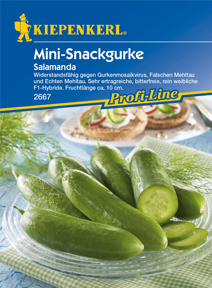 Mini-Snackgurke 'Salamanda F1' - Kiepenkerl - Pflanzen > Saatgut > Gemüsesamen > Gurkensamen - DerGartenmarkt.de shop.dergartenmarkt.de