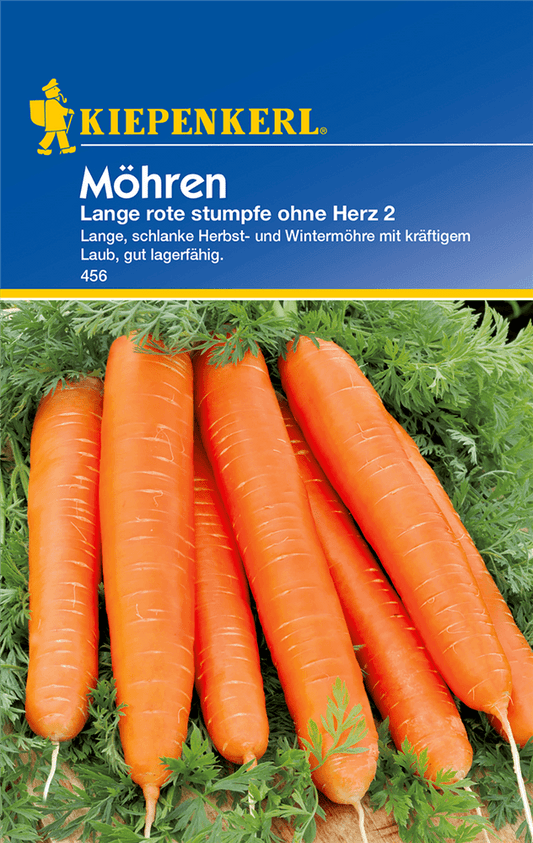 Möhre 'Lange, Rote, Stumpfe ohne Herz 2' - Kiepenkerl - Pflanzen > Saatgut > Gemüsesamen > Möhrensamen - DerGartenmarkt.de shop.dergartenmarkt.de