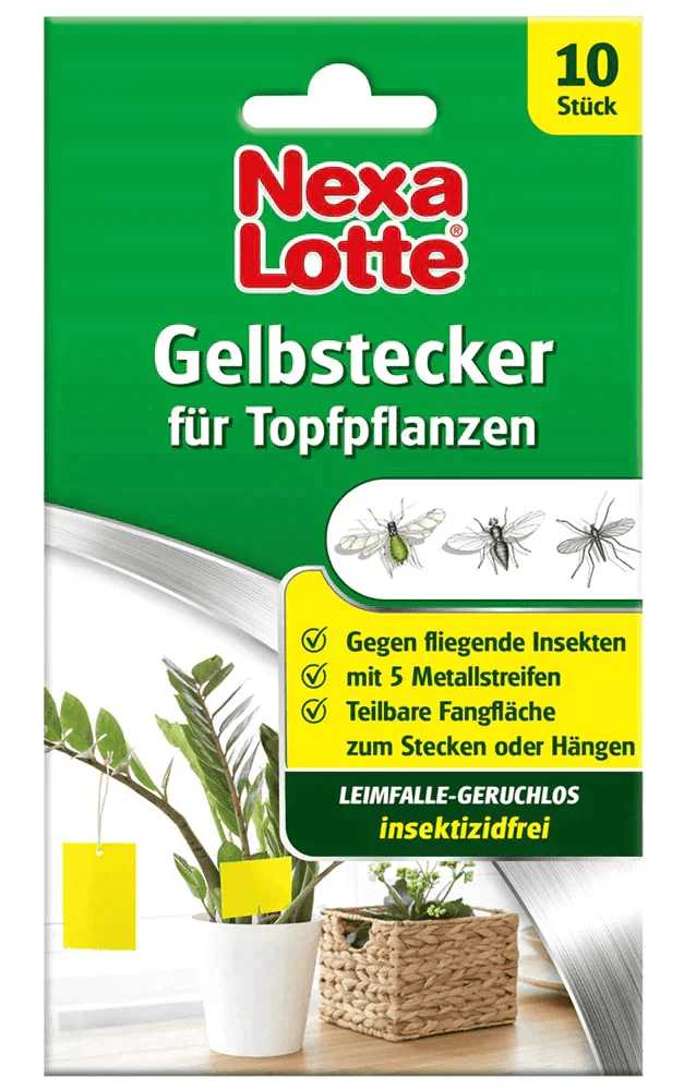Nexa-Lotte Gelbstecker - Nexa-Lotte - Gartenbedarf > Pflanzenschutz - DerGartenmarkt.de shop.dergartenmarkt.de