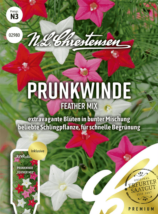 Prunkwindensamen 'Feather Mix' - Chrestensen - Pflanzen > Saatgut > Blumensamen > Kletterpflanzensamen - DerGartenmarkt.de shop.dergartenmarkt.de