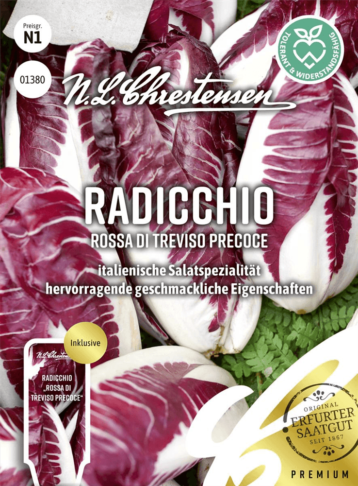 Radicchiosamen 'Rosso di Treviso Precoce' - Chrestensen - Pflanzen > Saatgut > Gemüsesamen > Salatsamen - DerGartenmarkt.de shop.dergartenmarkt.de