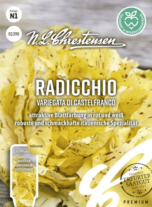 Radicchiosamen 'Variegata di Castelfranco' - Chrestensen - Pflanzen > Saatgut > Gemüsesamen > Salatsamen - DerGartenmarkt.de shop.dergartenmarkt.de