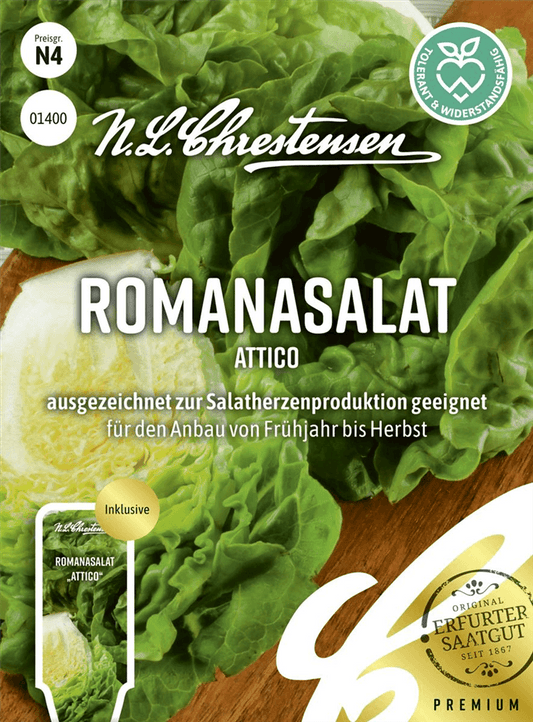 Romanasalatsamen 'Attico' - Chrestensen - Pflanzen > Saatgut > Gemüsesamen > Salatsamen - DerGartenmarkt.de shop.dergartenmarkt.de