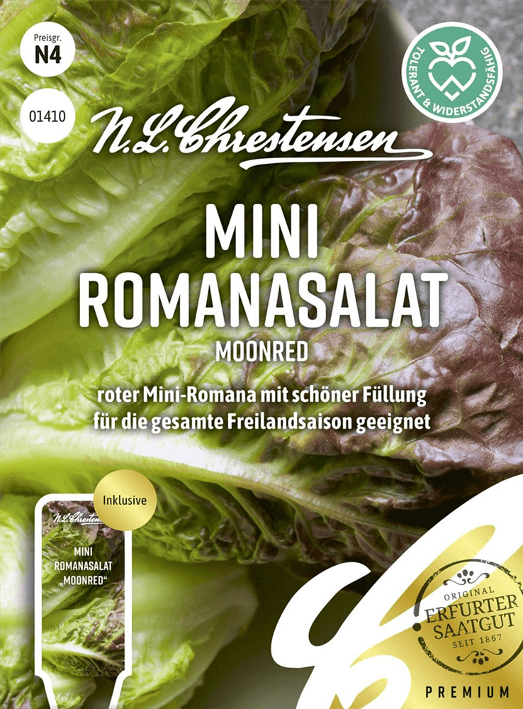 Romanasalatsamen 'Moonred' - Chrestensen - Pflanzen > Saatgut > Gemüsesamen > Salatsamen - DerGartenmarkt.de shop.dergartenmarkt.de