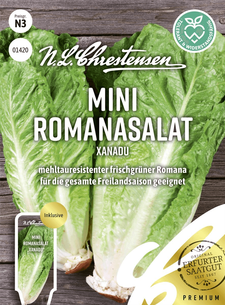 Romanasalatsamen 'Xanadu' - Chrestensen - Pflanzen > Saatgut > Gemüsesamen > Salatsamen - DerGartenmarkt.de shop.dergartenmarkt.de