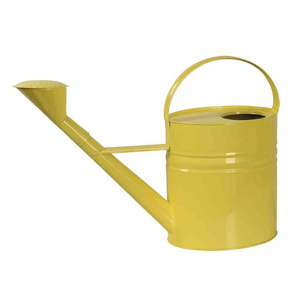 Siena Garden Gießkanne , 10 Liter, 56x19x40 cm gelb Stahlblech - SIENA GARDEN - Gartenbedarf > Gartenbewässerung > Bewässerungshilfen - DerGartenmarkt.de shop.dergartenmarkt.de