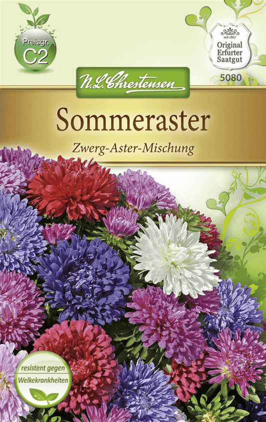 Sommer-Zwergaster-Samen - Chrestensen - Pflanzen > Saatgut > Blumensamen > Blumensamen, einjährig - DerGartenmarkt.de shop.dergartenmarkt.de