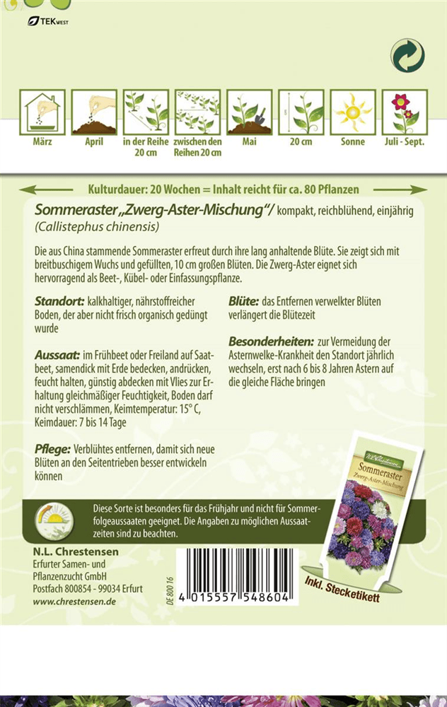 Sommer-Zwergaster-Samen - Chrestensen - Pflanzen > Saatgut > Blumensamen > Blumensamen, einjährig - DerGartenmarkt.de shop.dergartenmarkt.de