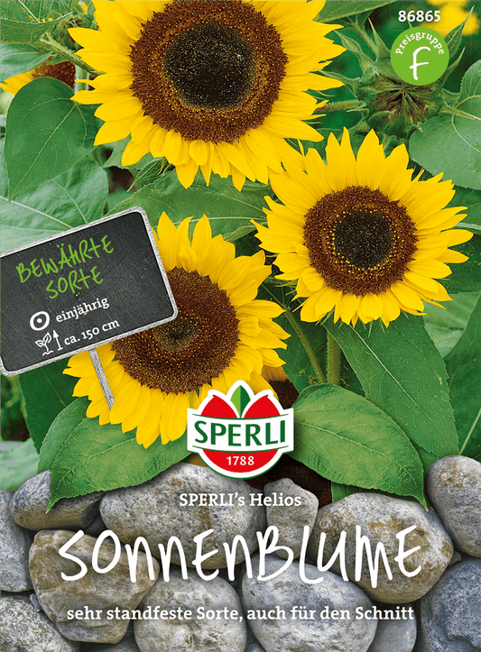 Sonnenblume 'Helios' - Sperli - Pflanzen > Saatgut > Blumensamen - DerGartenmarkt.de shop.dergartenmarkt.de