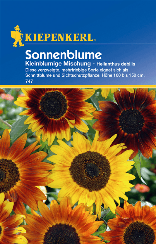 Sonnenblume 'Kleinblumige Mischung' - Kiepenkerl - Pflanzen > Saatgut > Blumensamen - DerGartenmarkt.de shop.dergartenmarkt.de