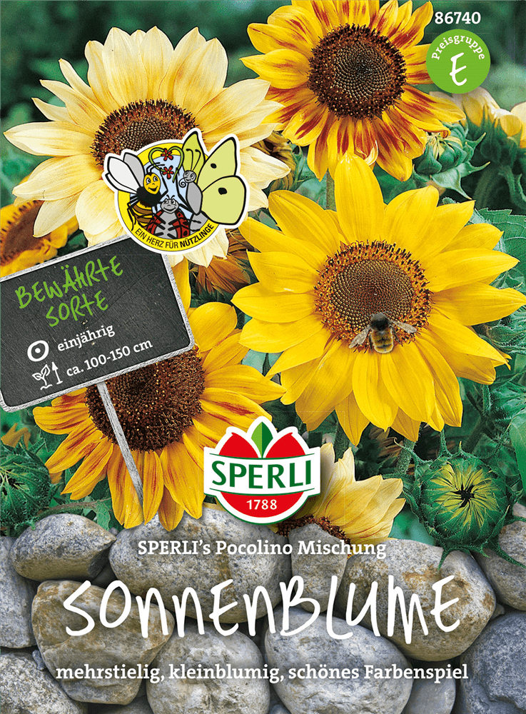 Sonnenblume 'Pocolino' - Sperli - Pflanzen > Saatgut > Blumensamen - DerGartenmarkt.de shop.dergartenmarkt.de