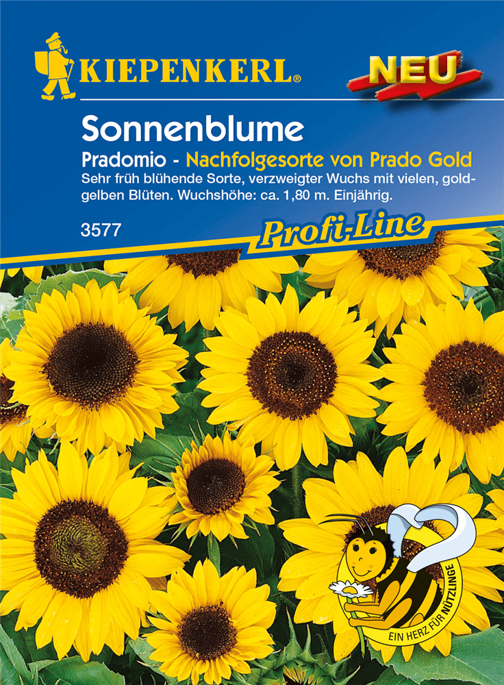 Sonnenblume 'Pradomio' - Kiepenkerl - Pflanzen > Saatgut > Blumensamen - DerGartenmarkt.de shop.dergartenmarkt.de