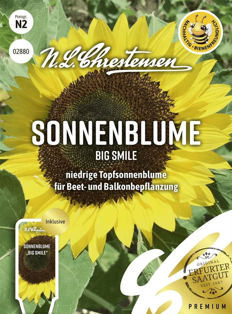 Sonnenblumensamen 'Big Smile' - Chrestensen - Pflanzen > Saatgut > Blumensamen > Blumensamen, einjährig - DerGartenmarkt.de shop.dergartenmarkt.de