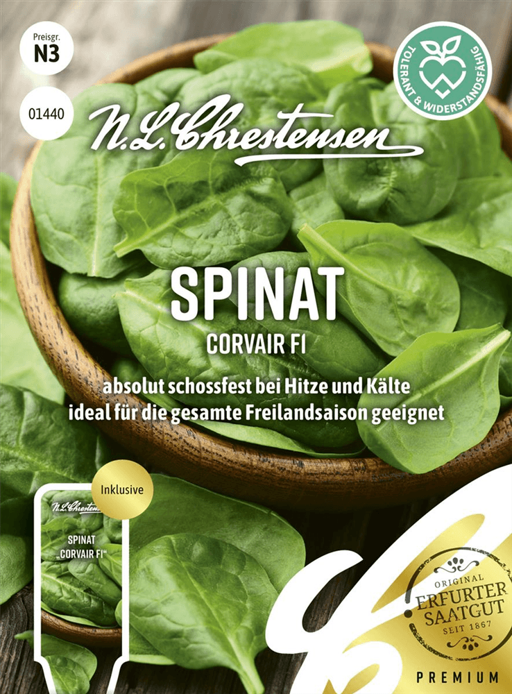 Spinatsamen 'Corvair' - Chrestensen - Pflanzen > Saatgut > Gemüsesamen > Spinatsamen - DerGartenmarkt.de shop.dergartenmarkt.de