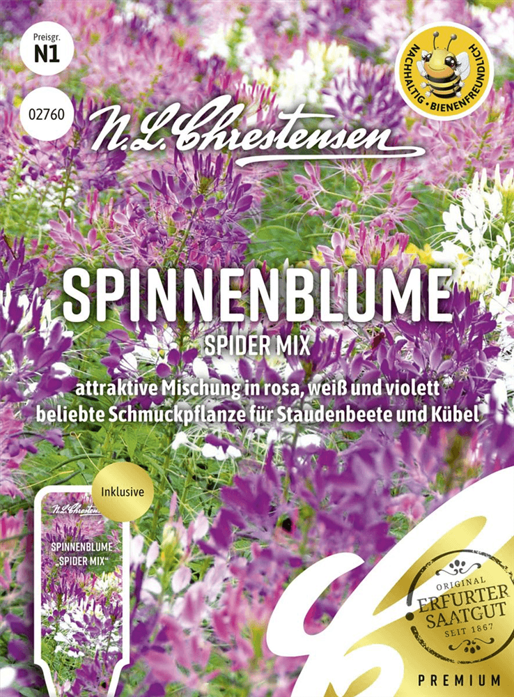 Spinnenblumensamen - Chrestensen - Pflanzen > Saatgut > Blumensamen > Blumensamen, einjährig - DerGartenmarkt.de shop.dergartenmarkt.de