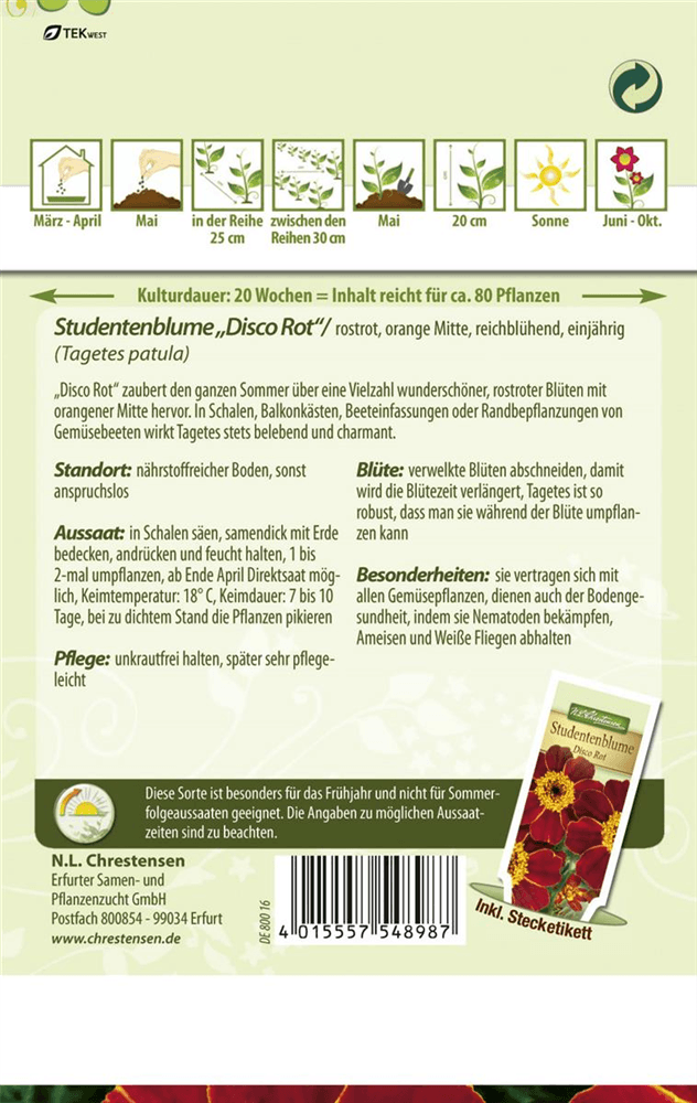Tagetessamen 'Disco Rot' - Chrestensen - Pflanzen > Saatgut > Blumensamen > Blumensamen, einjährig - DerGartenmarkt.de shop.dergartenmarkt.de
