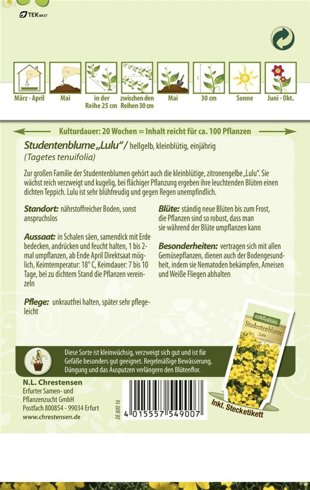 Tagetessamen 'Lulu' - Chrestensen - Pflanzen > Saatgut > Blumensamen > Blumensamen, einjährig - DerGartenmarkt.de shop.dergartenmarkt.de