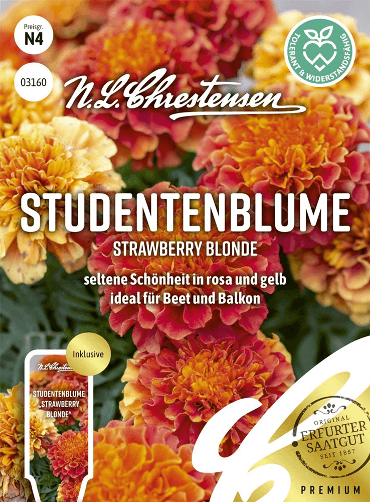 Tagetessamen 'Strawberry Blonde' - Chrestensen - Pflanzen > Saatgut > Blumensamen > Blumensamen, einjährig - DerGartenmarkt.de shop.dergartenmarkt.de