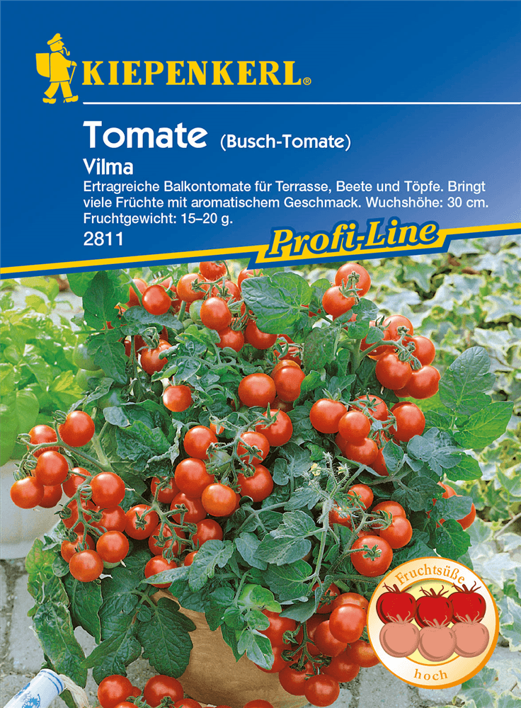 Tomate 'Vilma' - Kiepenkerl - Pflanzen > Saatgut > Gemüsesamen > Tomatensamen - DerGartenmarkt.de shop.dergartenmarkt.de