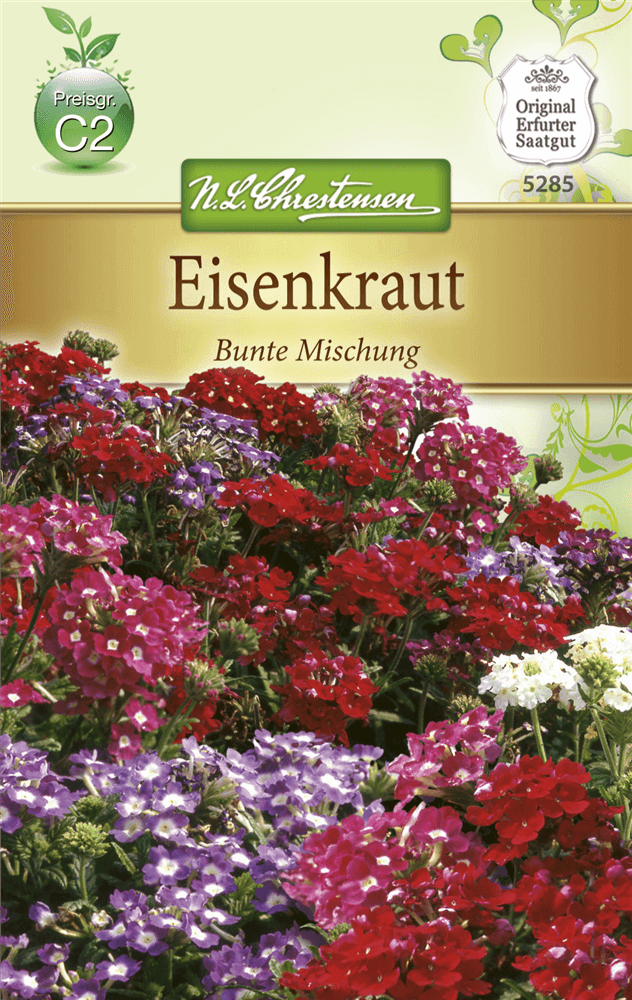 Verbenensamen - Chrestensen - Pflanzen > Saatgut > Blumensamen > Blumensamen, einjährig - DerGartenmarkt.de shop.dergartenmarkt.de