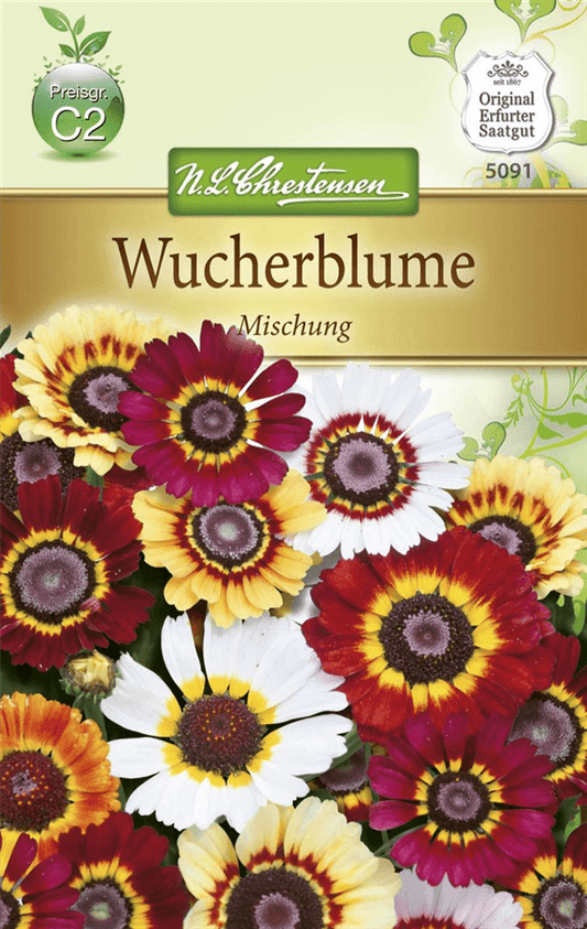 Wucherblumensamen - Chrestensen - Pflanzen > Saatgut > Blumensamen > Blumensamen, einjährig - DerGartenmarkt.de shop.dergartenmarkt.de