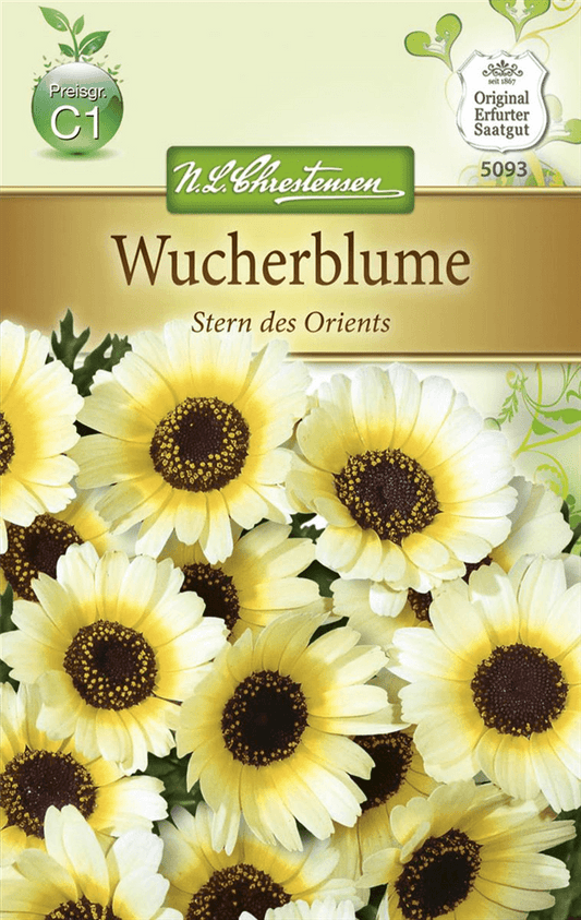 Wucherblumensamen 'Stern des Orients' - Chrestensen - Pflanzen > Saatgut > Blumensamen > Blumensamen, einjährig - DerGartenmarkt.de shop.dergartenmarkt.de