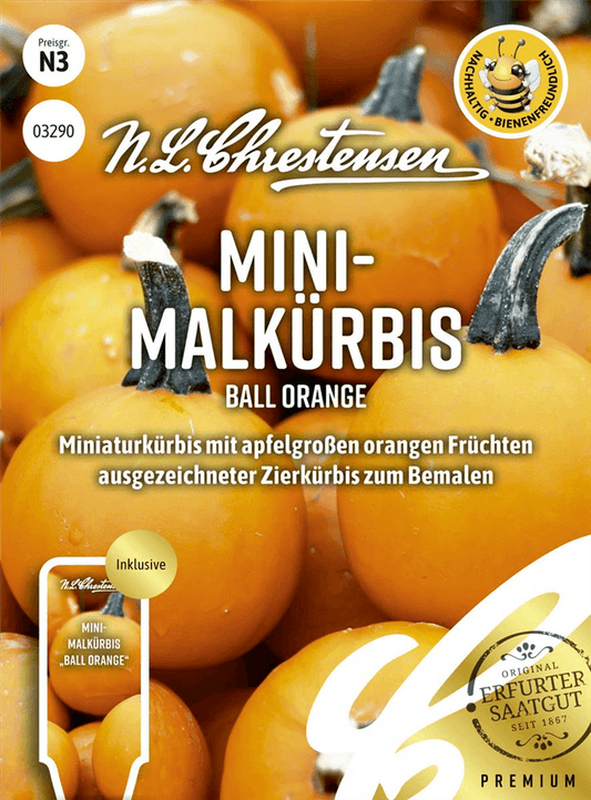 Zierkürbissamen 'Ball Orange' - Chrestensen - Pflanzen > Saatgut > Gemüsesamen > Kürbissamen - DerGartenmarkt.de shop.dergartenmarkt.de